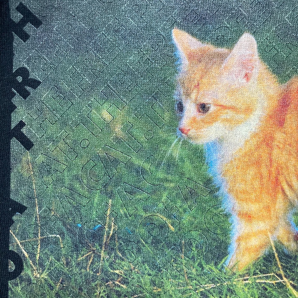 フリー素材の猫のTシャツ 文字入り(THE FREE PHOTO OF A CAT.)