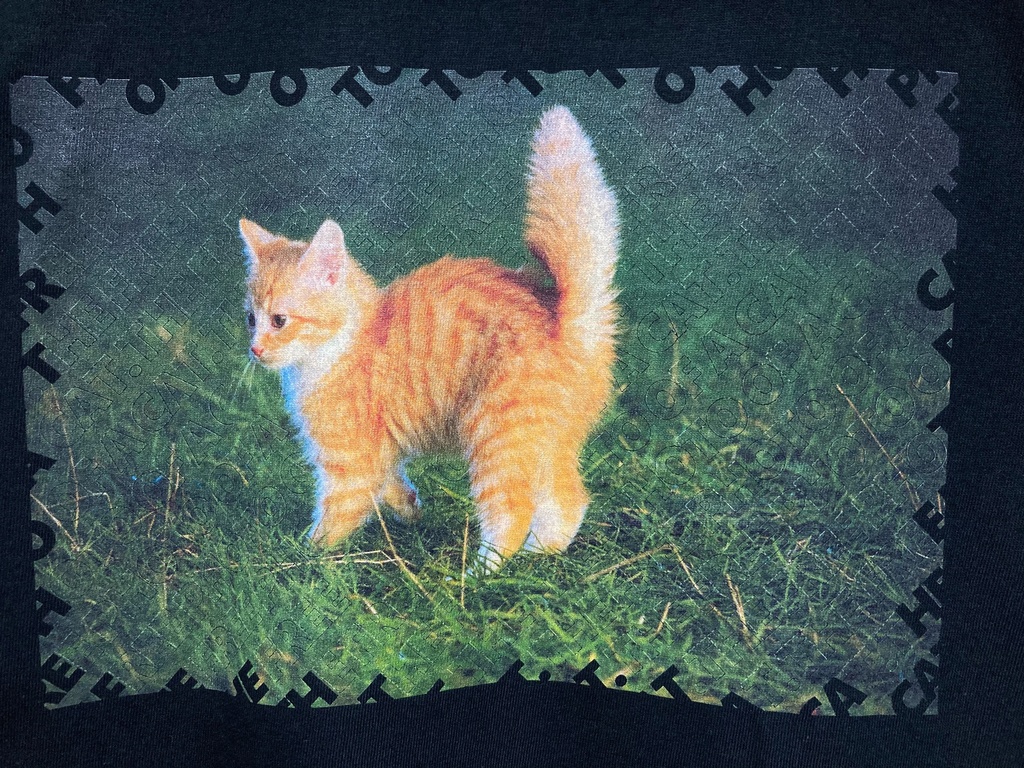 フリー素材の猫のTシャツ 文字入り(THE FREE PHOTO OF A CAT.)
