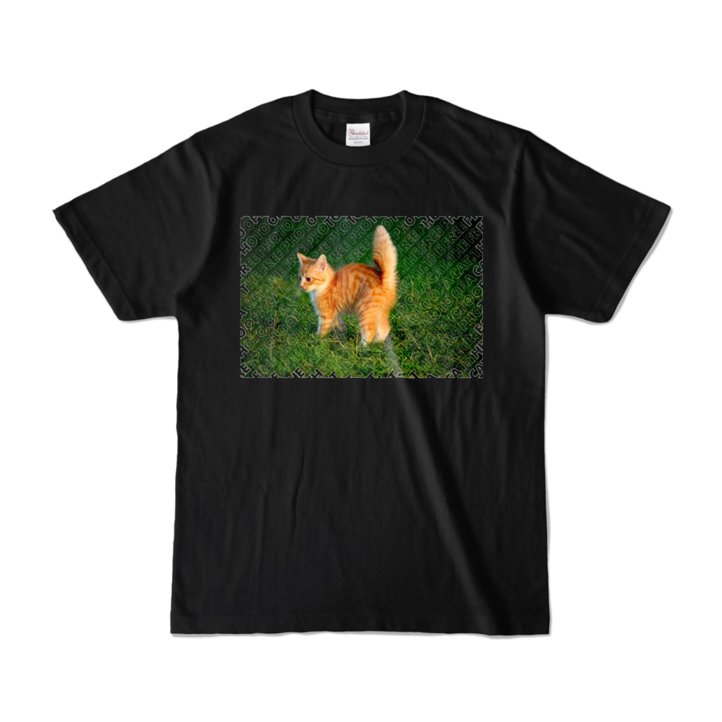 フリー素材の猫のTシャツ 文字入り(THE FREE PHOTO OF A CAT.)