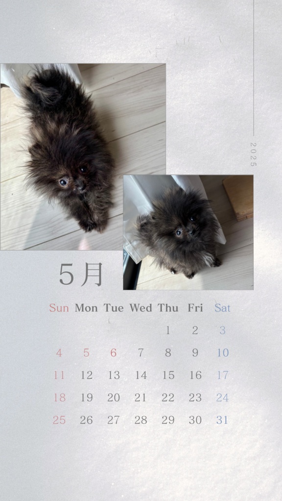 《スマホの壁紙》5月カレンダー