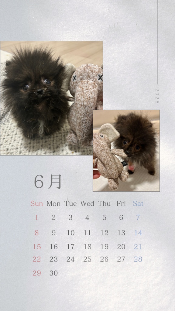 《スマホの壁紙》6月カレンダー