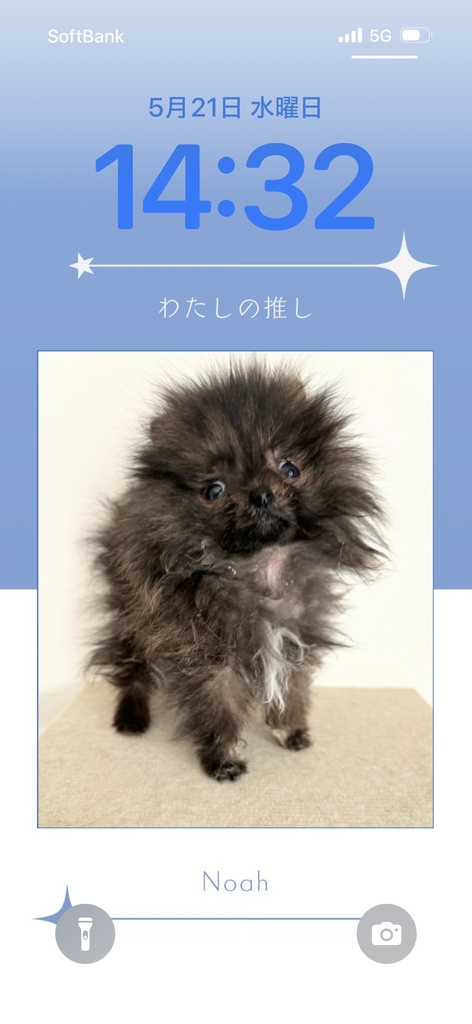 《スマホの壁紙》推し方ノアくん