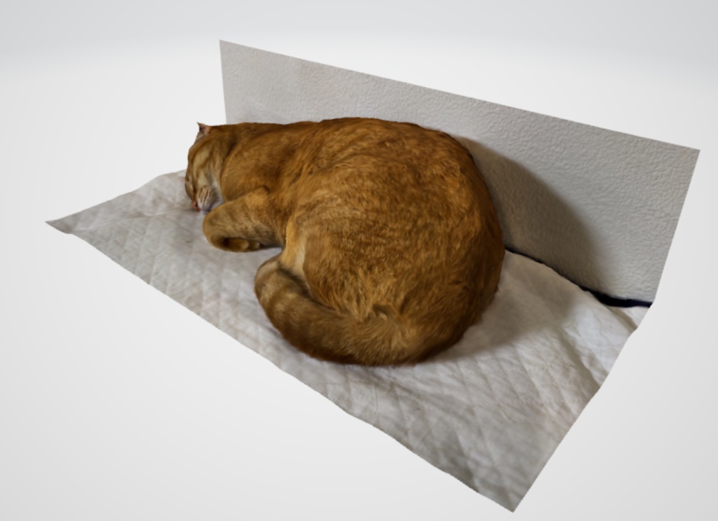 うちのにゃんこ(3Dデータ)