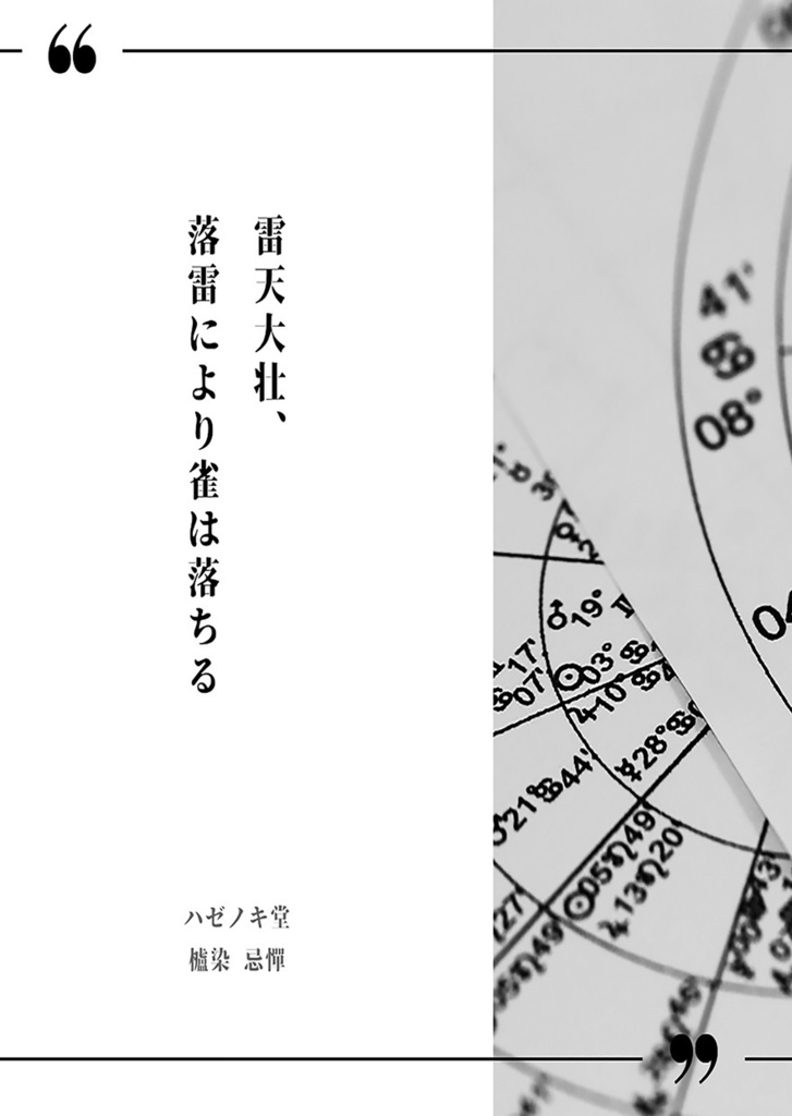 【書籍版】雷天大壮、落雷により雀は落ちる【スタレ】