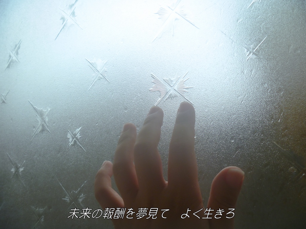 写真集サブスク