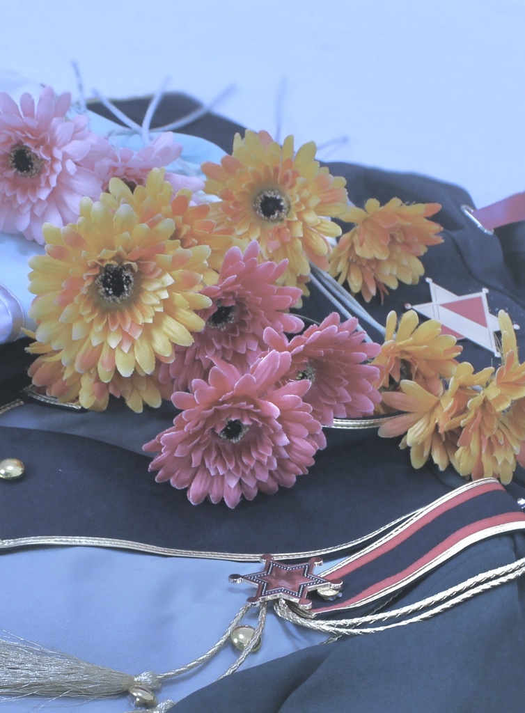 コスプレ写真集