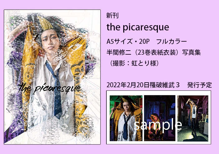 The Picaresque
