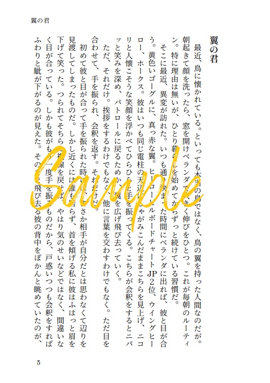 大きな翼で抱き締めて【ホークス 夢小説】