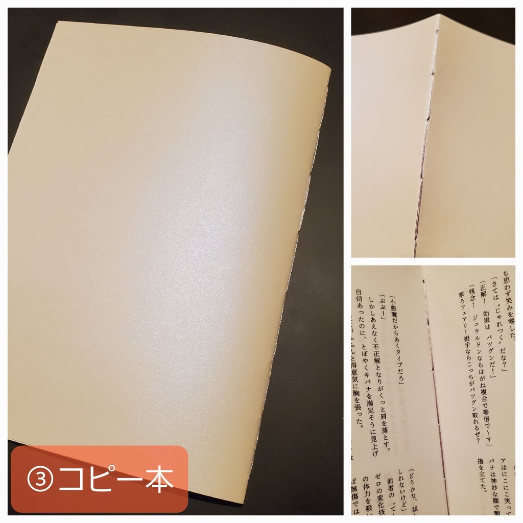 pkmn夢まとめ【キバナ/ネズ/ホップ 夢小説】