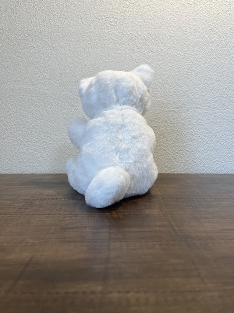 ぬいぐるみ しろ…?