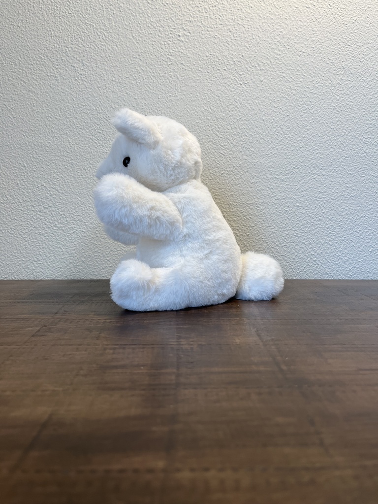 ぬいぐるみ しろ…?