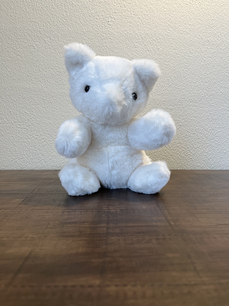 ぬいぐるみ　しろ…？