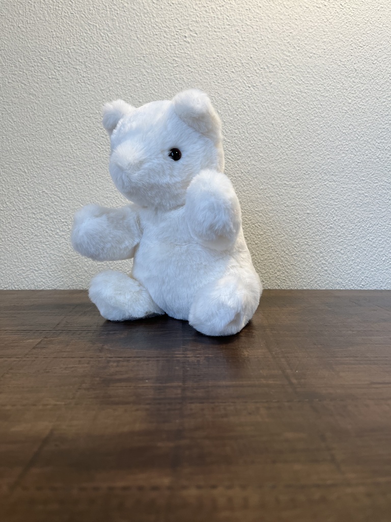 ぬいぐるみ しろ…?