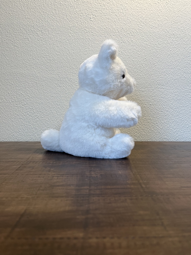 ぬいぐるみ しろ…?