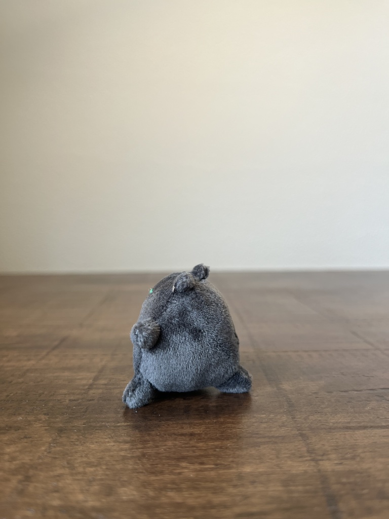 わぁさん ぶらっく