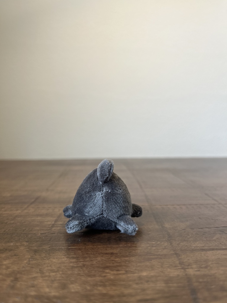 わぁさん ぶらっく