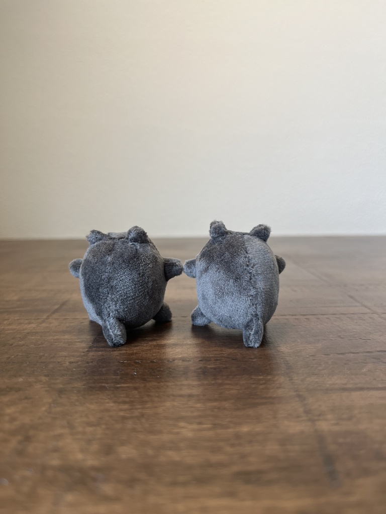 わぁさん ぶらっく