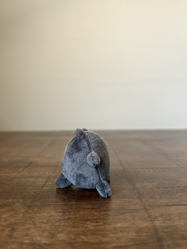 わぁさん ぶらっく