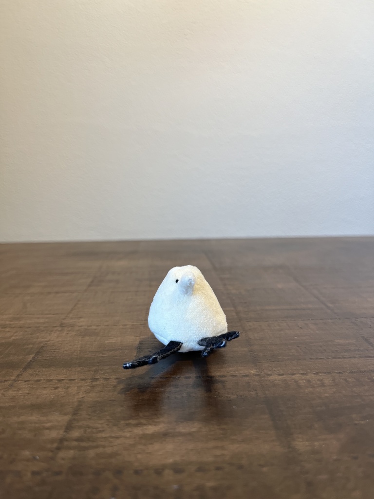 ちよに　（きいろ）