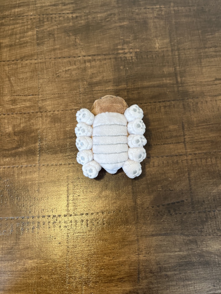 ねこかもね-なも-