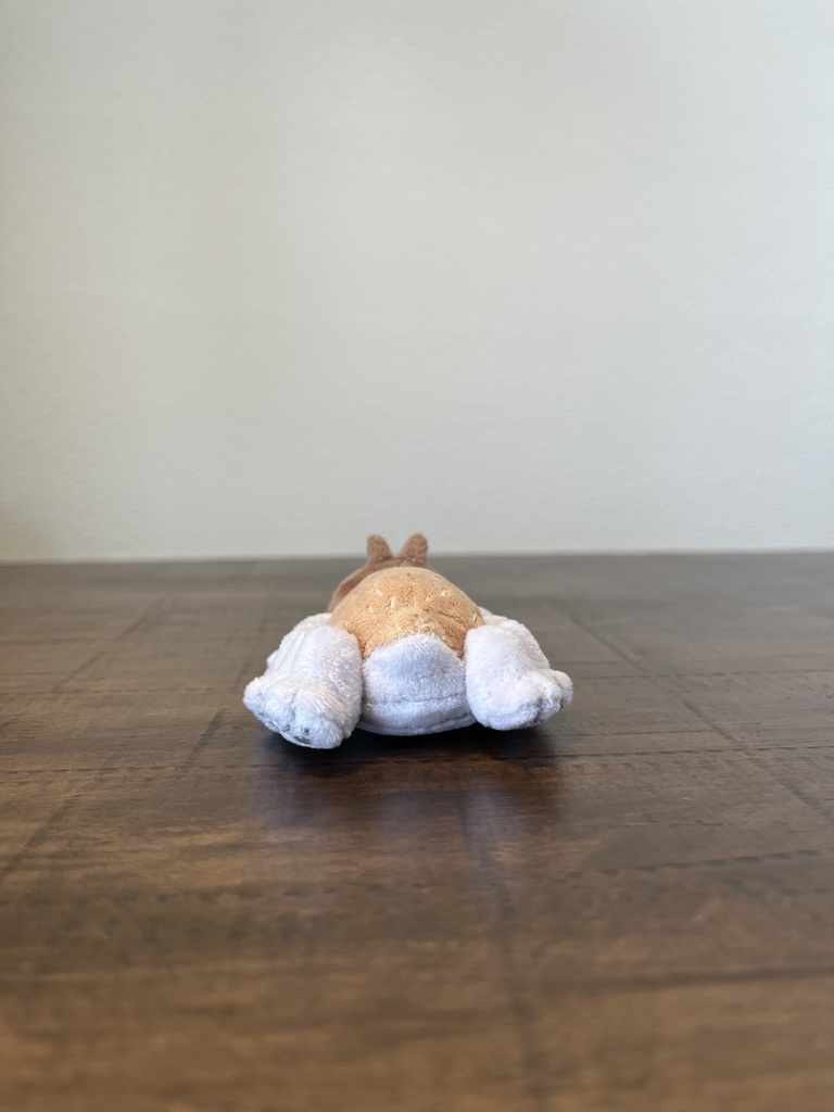 ねこかもね-なも-