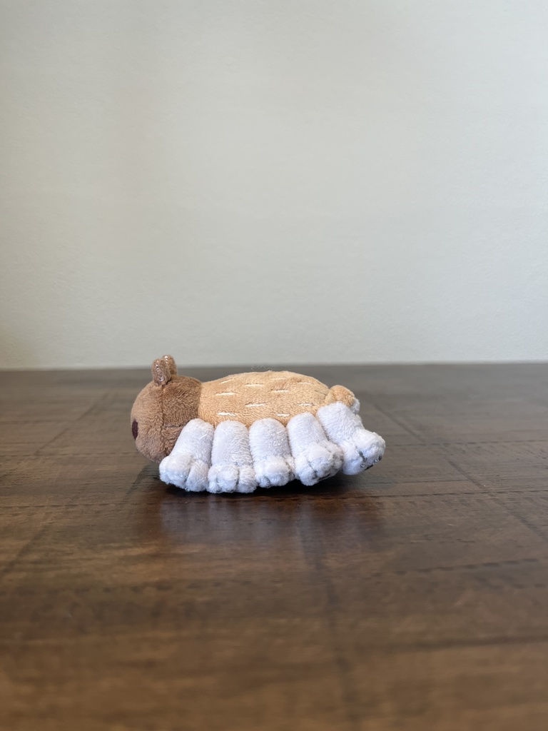 ねこかもね-なも-