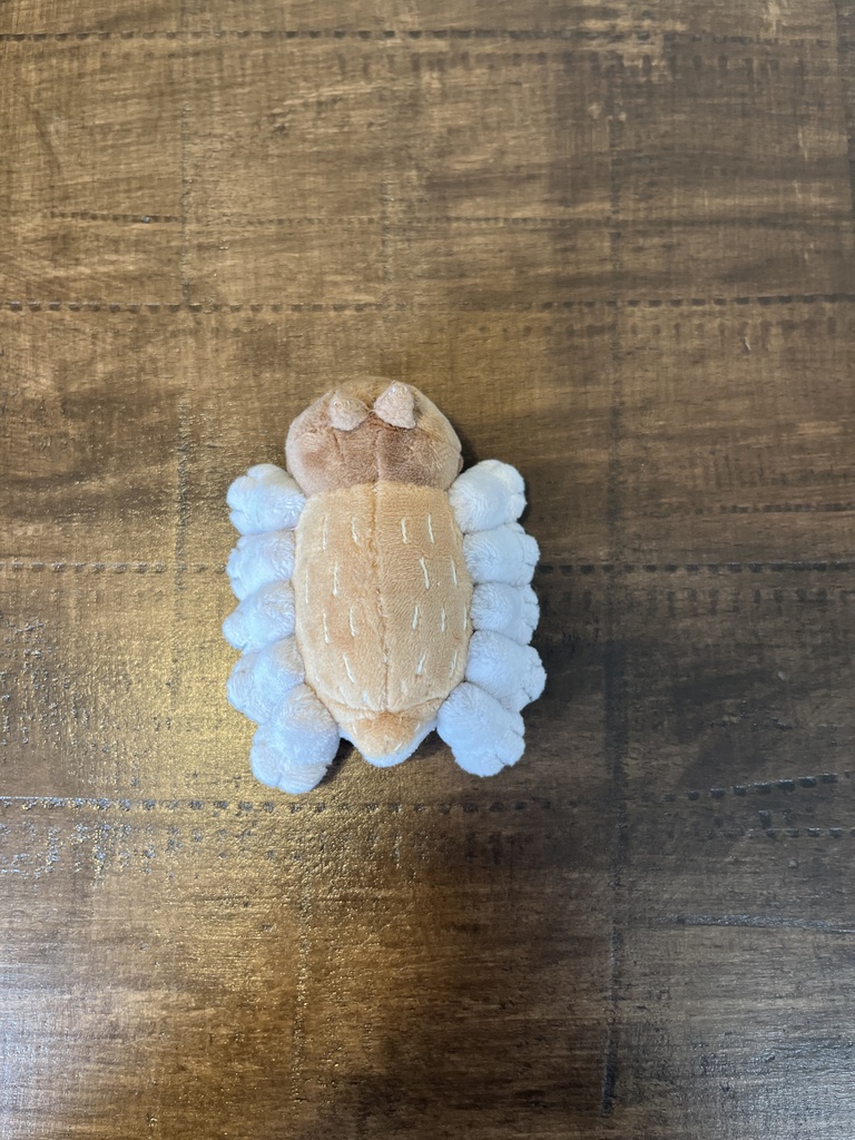 ねこかもね-なも-