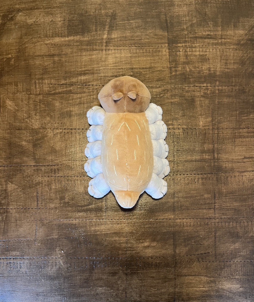 ねこかもね-なも-大きい③