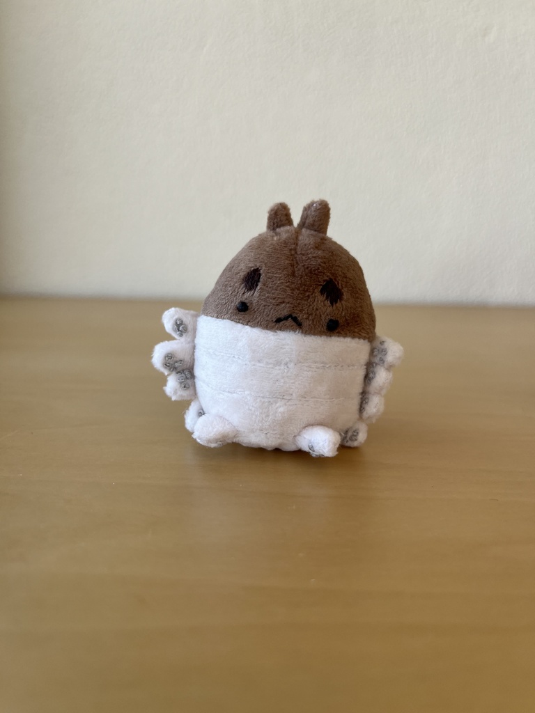 お座りなもちゃん