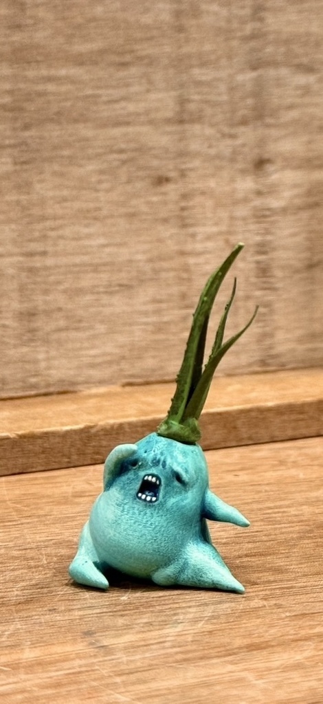 ひそひそマンドラゴラ(3匹セット+1ヘッド)