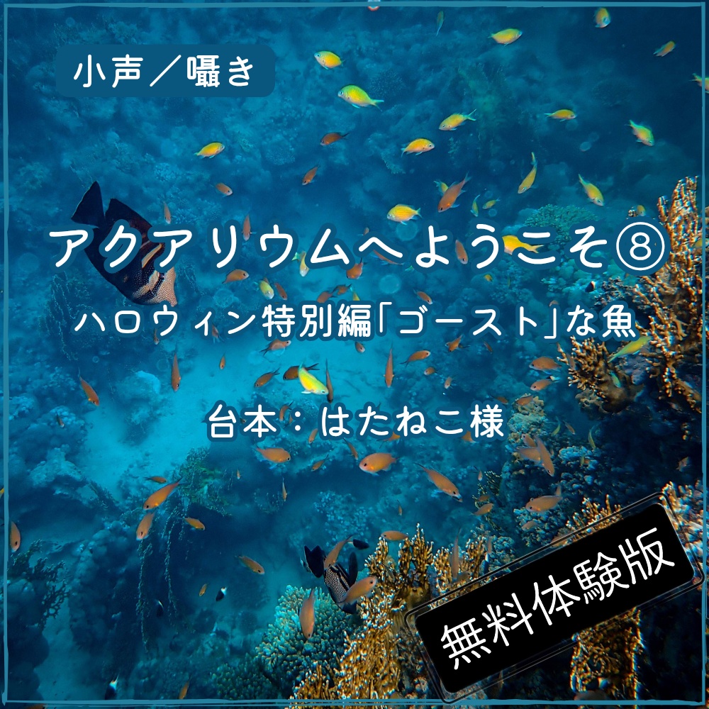 【読み聞かせ】⑧アクアリウム／ハロウィン特別編