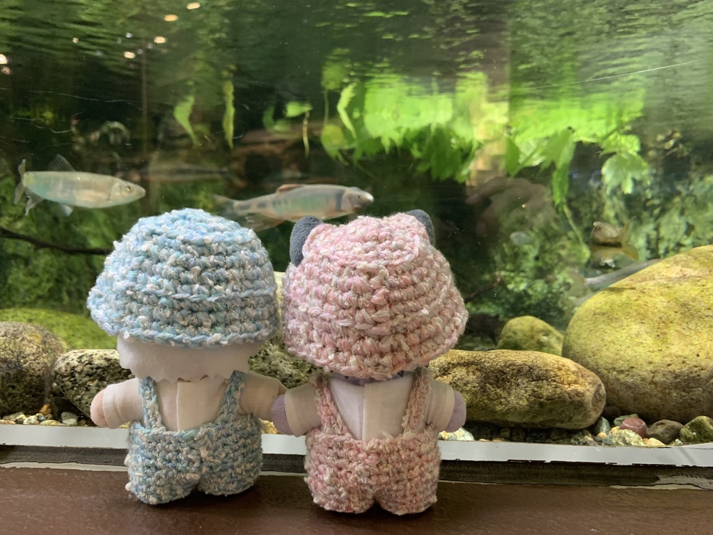 ⭐️ニットのサロペット