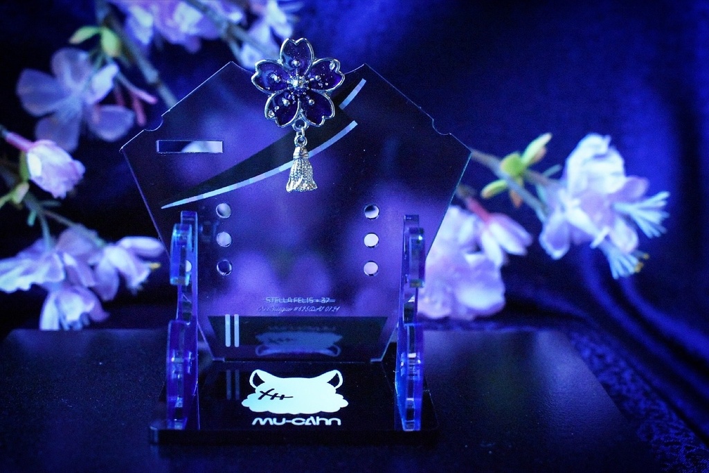 【VΔLZ】ちいさないのち用アクセサリースタンドセット【非公式】