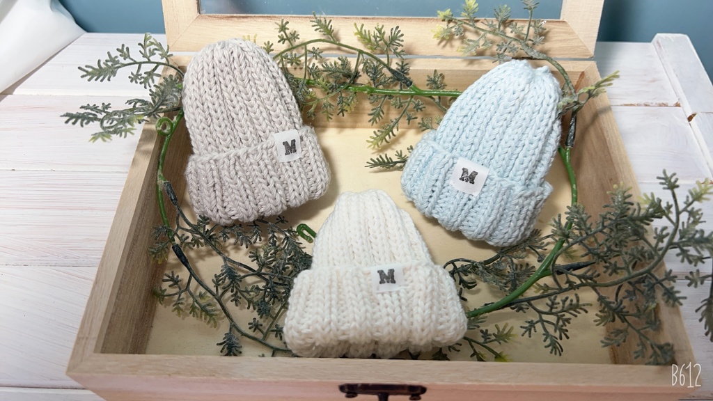 ニット帽    (ぬい10cmsize/送料別)
