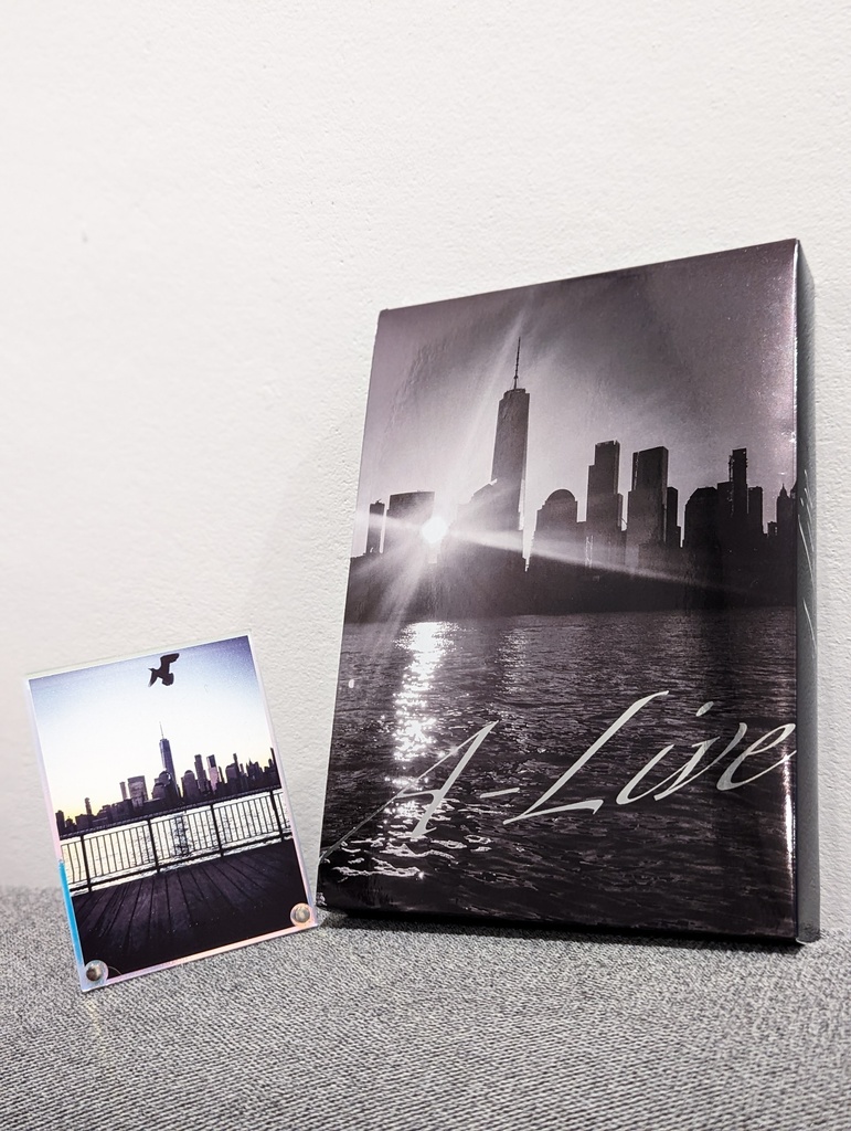 <グッズ付き限定版> NYC写真集 A-LIVE