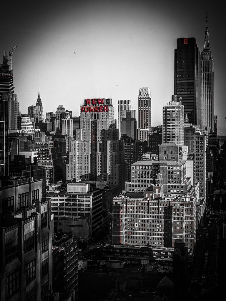 <グッズ付き限定版> NYC写真集 A-LIVE