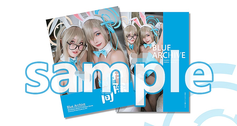 [DL版]ブルーアーカイブ写真集