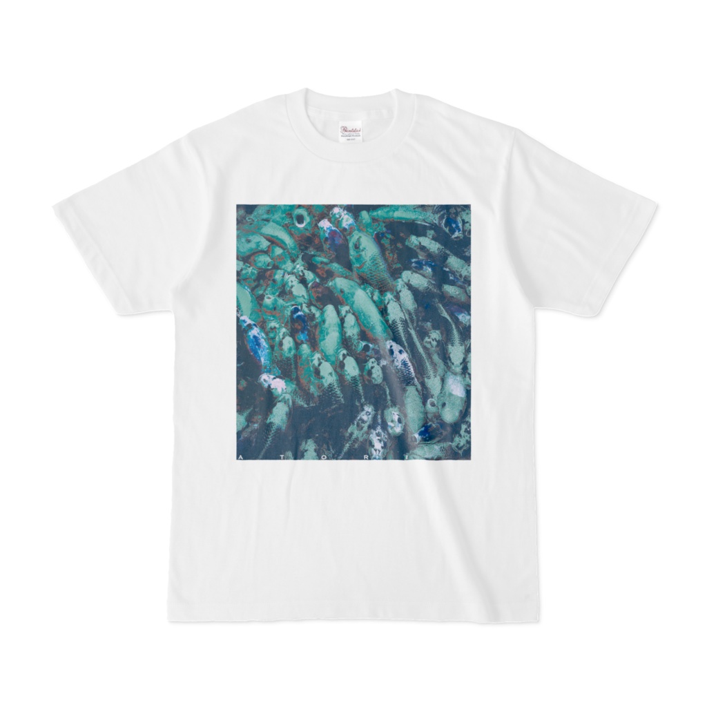 濃 鯉 白Tシャツ/ 青