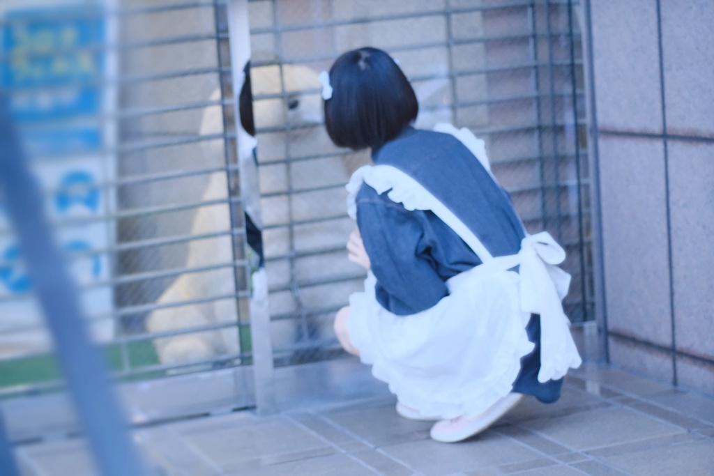 骨ガムヘアクリップ