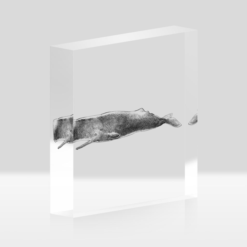 putiguriko_no_burokku