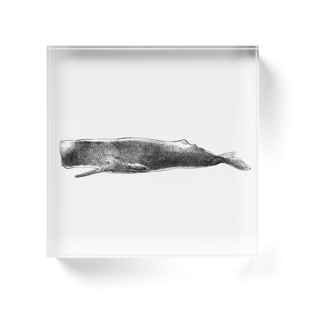 putiguriko_no_burokku