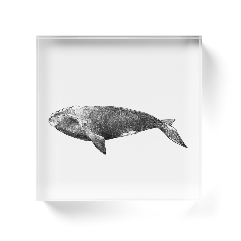 putiguriko_no_burokku2