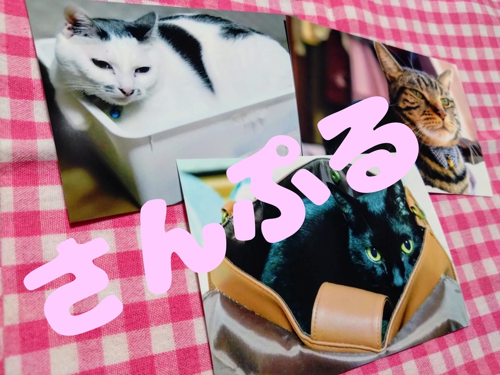 【桜井家の愛猫】ブロマイド【1枚500円】