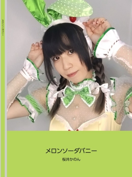 写真集『ハーネスメイド』『ブルーヴァンパイア』『メロンソーダバニー』