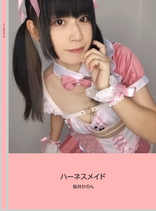 写真集『ハーネスメイド』『ブルーヴァンパイア』『メロンソーダバニー』