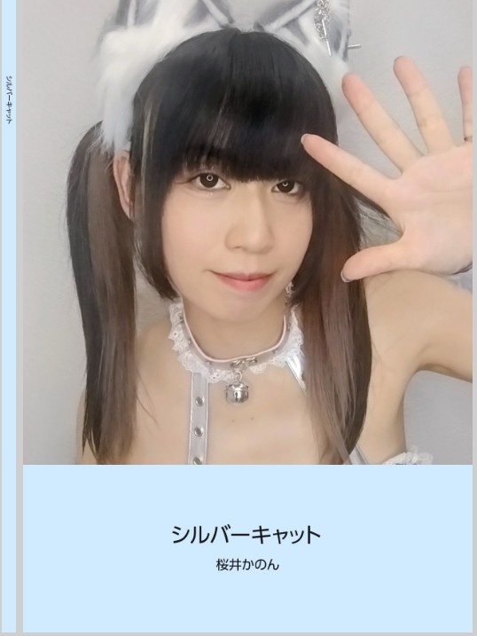 写真集『吸血姫』『シルバーキャット』『ぺんぎん』