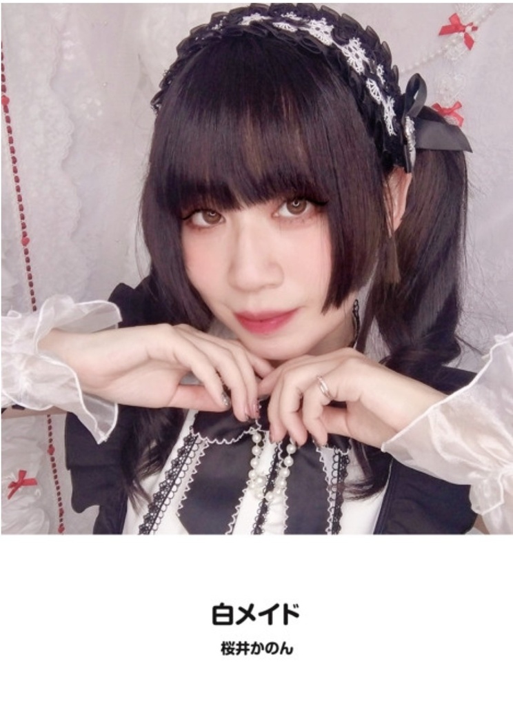 【文庫サイズ写真集】白メイド【数量限定！】