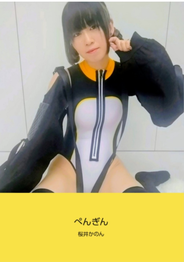 【文庫サイズ写真集】ぺんぎん