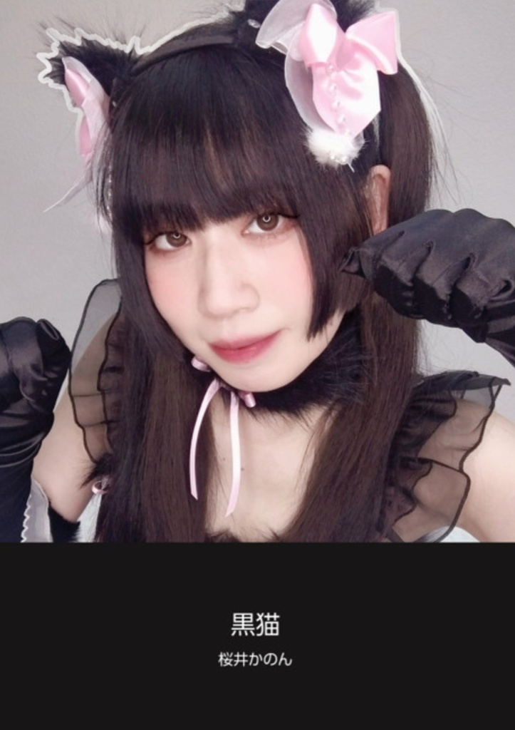 【文庫サイズ写真集】黒猫