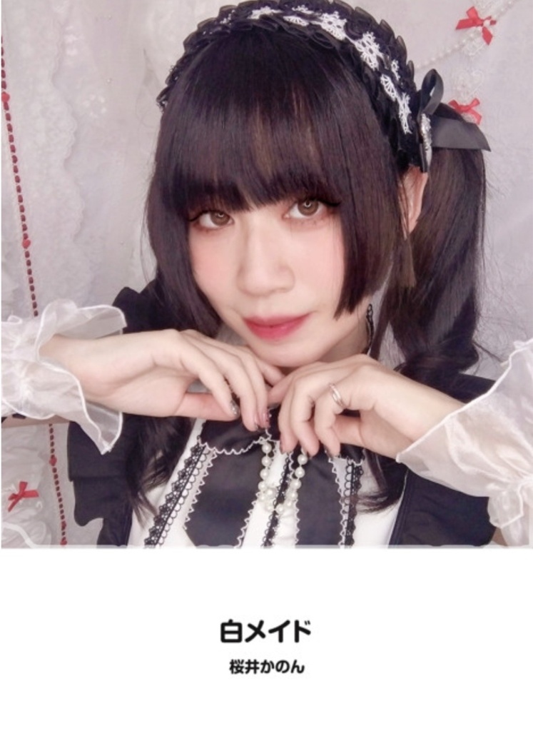 【文庫サイズ写真集】白メイド